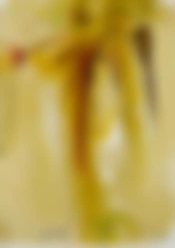 Biblia sacra (preview)