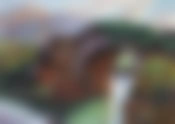 Le pont d'Ascain (preview)