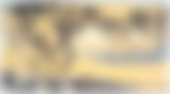 Landscape (preview)