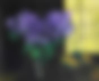 Still life (preview)