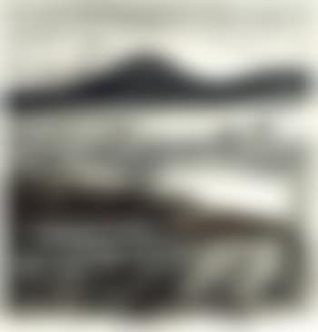 Flying geese (preview)