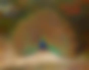 Peacock and Peacock butterfly (preview)