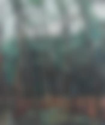 Autumn forest (preview)