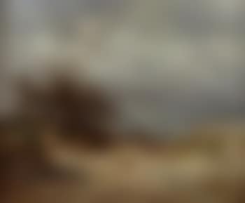 Shepherd and flock on heathland (preview)