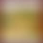 Pays d'Auvergne (preview)