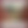 Nature morte aux instruments de musique (preview)