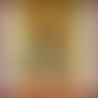 Nature morte (preview)
