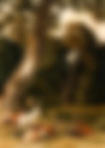 Fallow deer (preview)