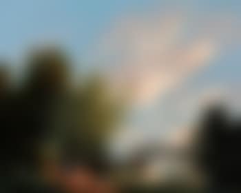 The ferry boat (preview)