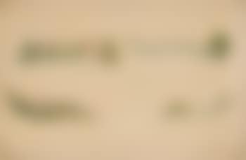 Untitled (preliminary elevation) (preview)