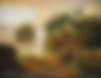 A wooded path (preview)