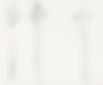 Ohne Titel (preview)