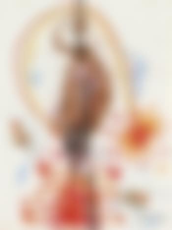 Honey possum (preview)