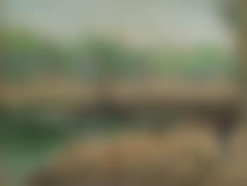 Am Ufer der Seine (preview)