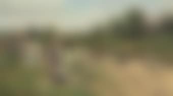 Herd by the river (preview)