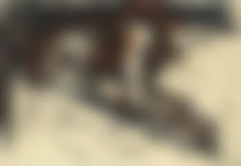 Study of a Nude (preview)