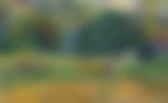 Le vallon (preview)