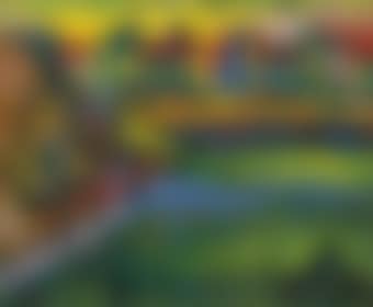 Bayerisches Dorf mit Feld (preview)
