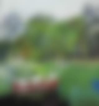 Red Boat (Imaginary Boys) (preview)