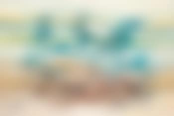 Composition, paysage (preview)