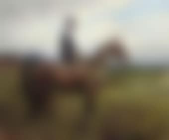 Portrait of Evelyn, seated side-saddle on a chestnut hunter (preview)