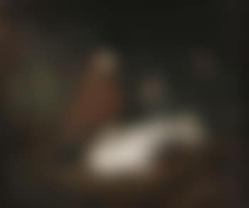 Kauernde Tauben mit einem Nachtpfauenauge (preview)