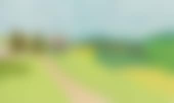 Landscape (preview)