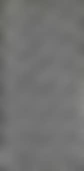 Untitled (S12) (preview)
