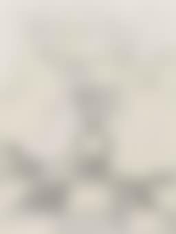 Comtesse du Barry Meets Marie Antoinette (preview)