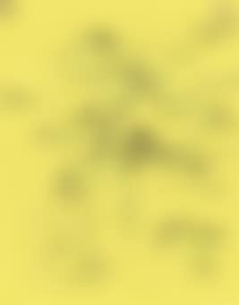 Untitled (Study for a Mobile) (preview)