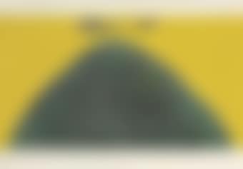 Untitled (Bird and Mountain Series) (preview)
