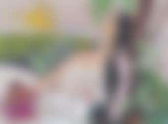 Untitled (Sita with the Golden Deer) (preview)