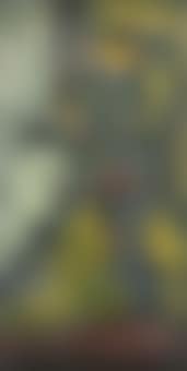 Nude Metamorphosed Into Insect (preview)