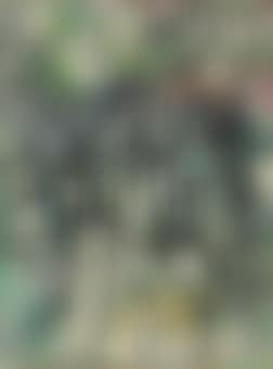 Untitled (Village) (preview)