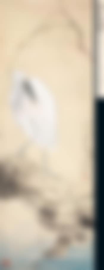 Egret (preview)