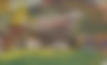 Bauerngehöft (preview)