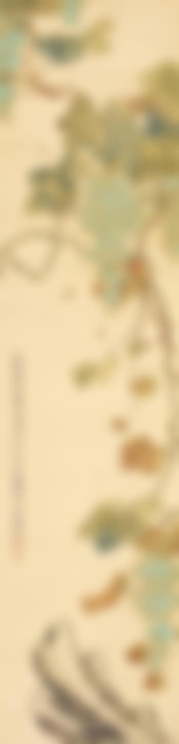 Grape and insects (preview)