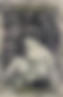 Projet d'affiche pour Phonographies par Rodolphe Darzens (preview)