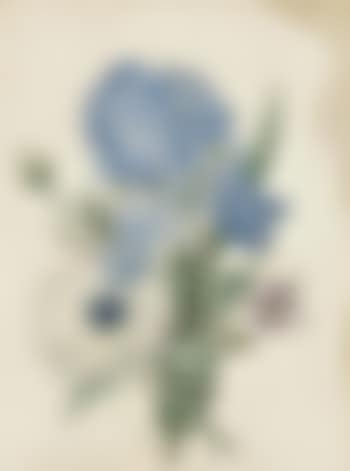 A blue iris, a geranium and a white poppy (preview)