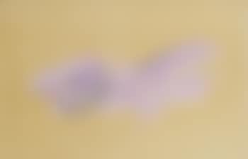 Composition (preview)