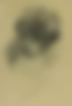 Head of a Woman (preview)