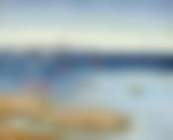 Sailing boats (preview)