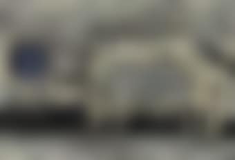 Untitled (Cows) (preview)
