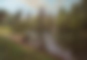 Lavandières au bord de la rivière (preview)