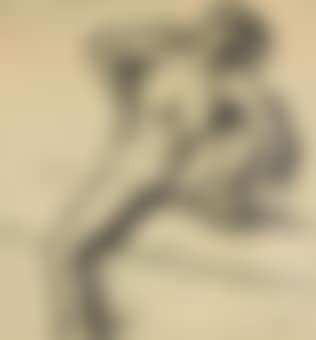 Nu accroupi (preview)