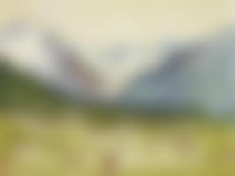 Weide bei Maloja im Herbst (preview)
