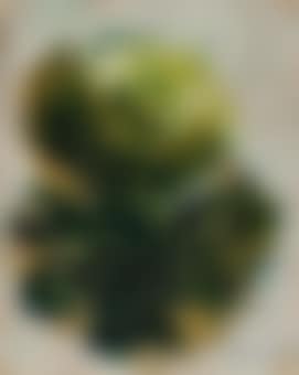 Fleurs (preview)