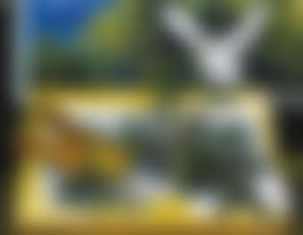 Foglie di nespolo e colomba (preview)
