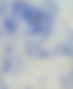 Self-Portrait with Blue Fish (preview)