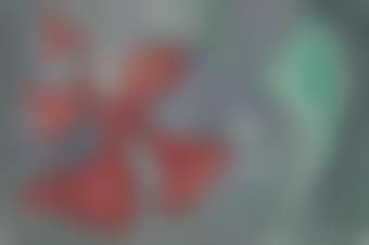 Untitled (preview)